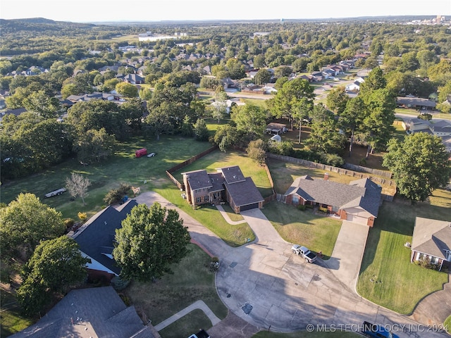 bird's eye view