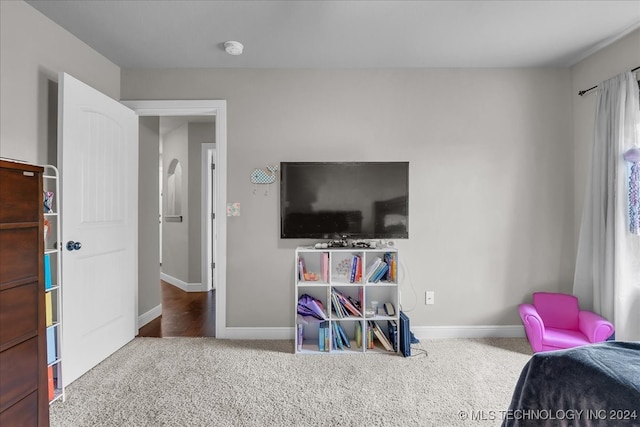 bedroom with carpet flooring