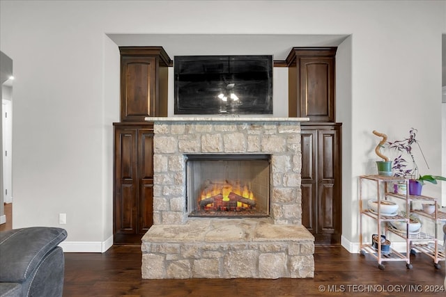 interior space with wood-type flooring and a stone fireplace