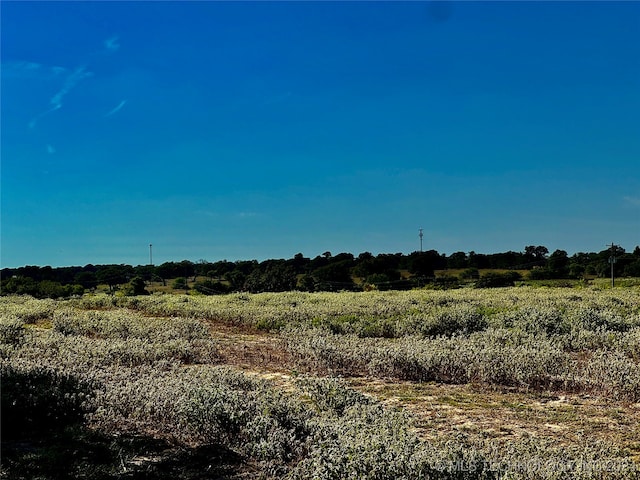 view of nature featuring a rural view