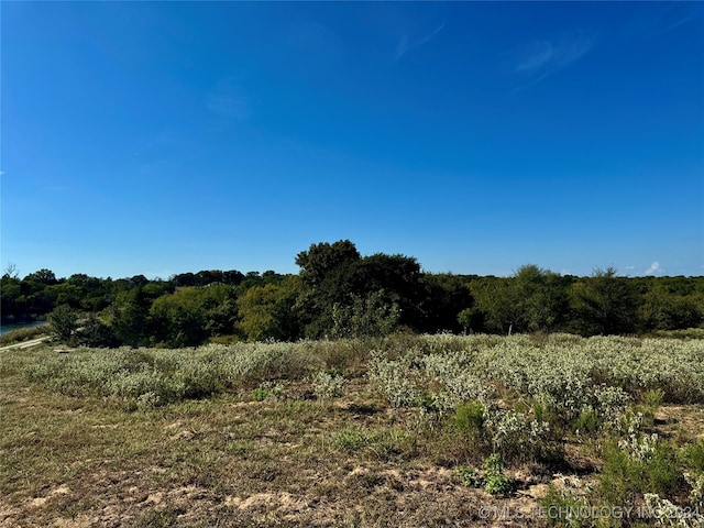 view of nature featuring a rural view