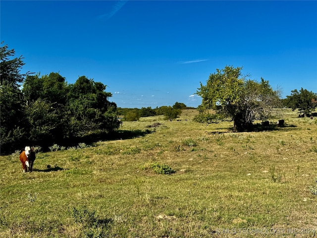 view of landscape featuring a rural view