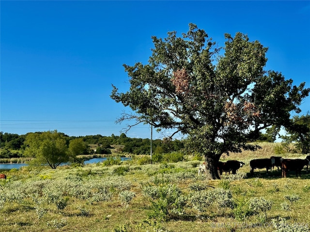 view of nature with a rural view and a water view