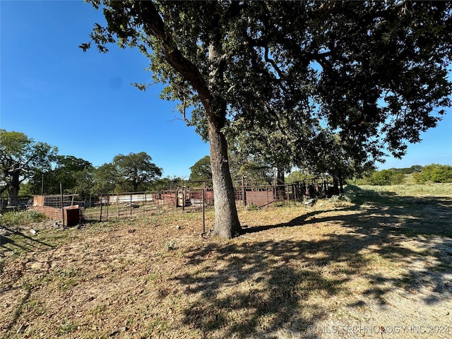 view of yard featuring a rural view