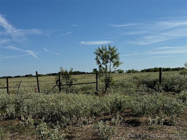 view of yard featuring a rural view