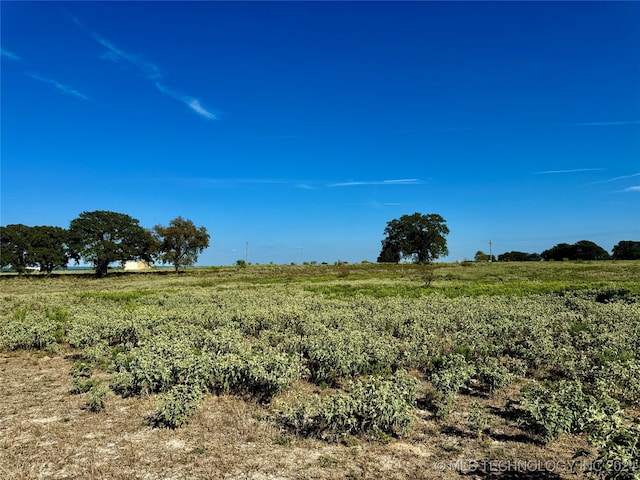 view of nature with a rural view