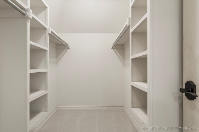 walk in closet with light carpet