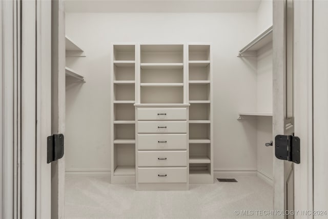 spacious closet featuring light colored carpet