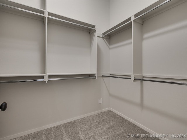 walk in closet featuring carpet floors