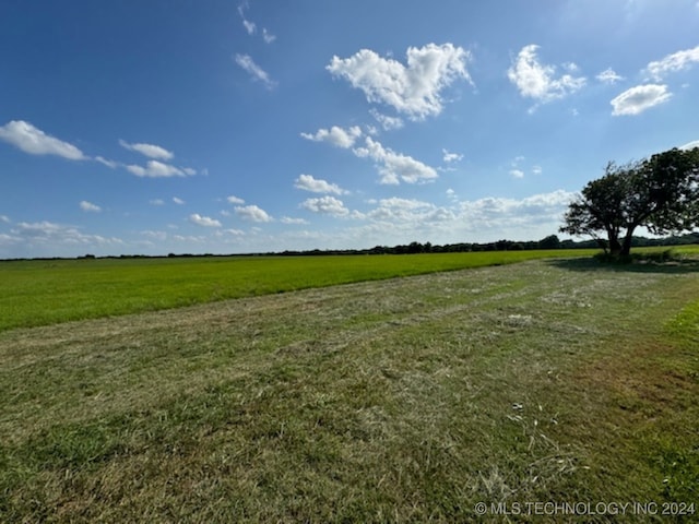 view of local wilderness with a rural view