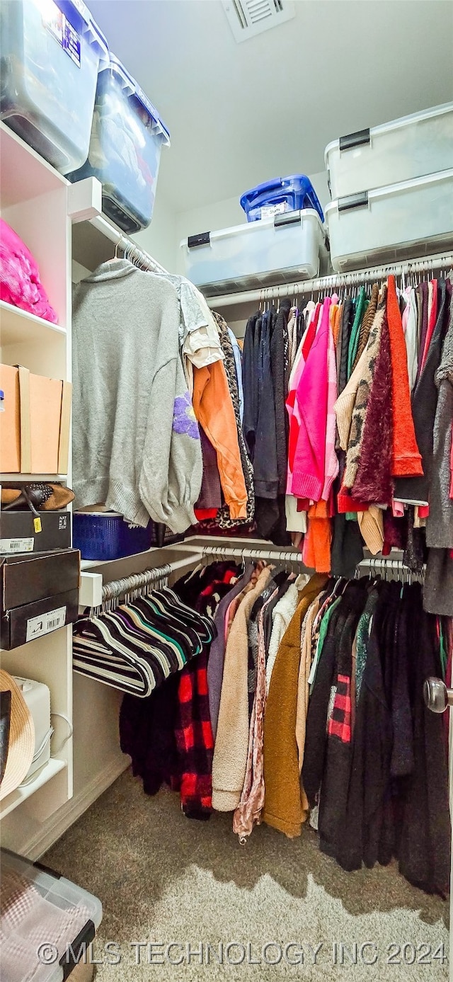 walk in closet featuring carpet flooring