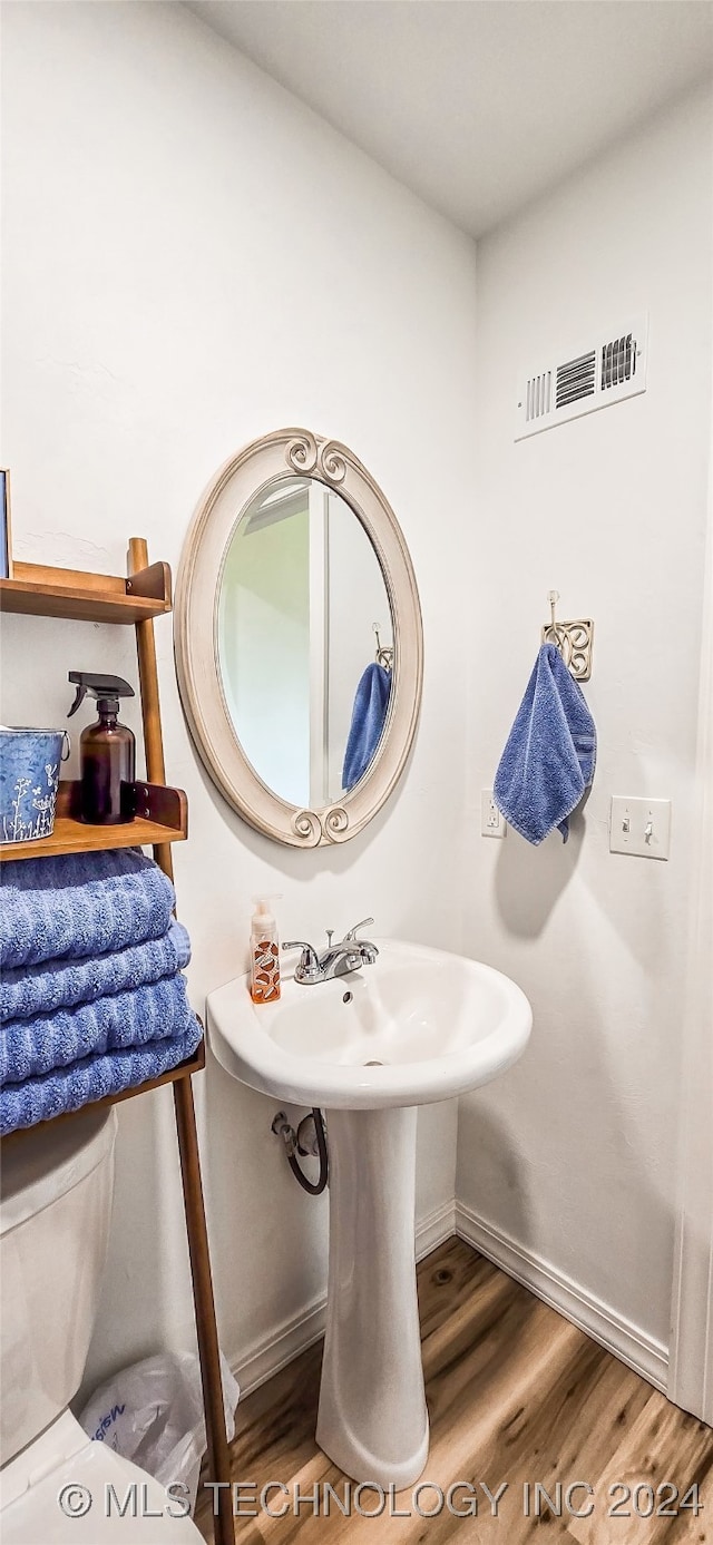 bathroom featuring wood-type flooring