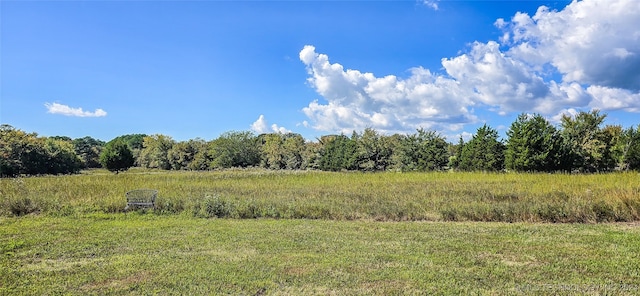 view of local wilderness