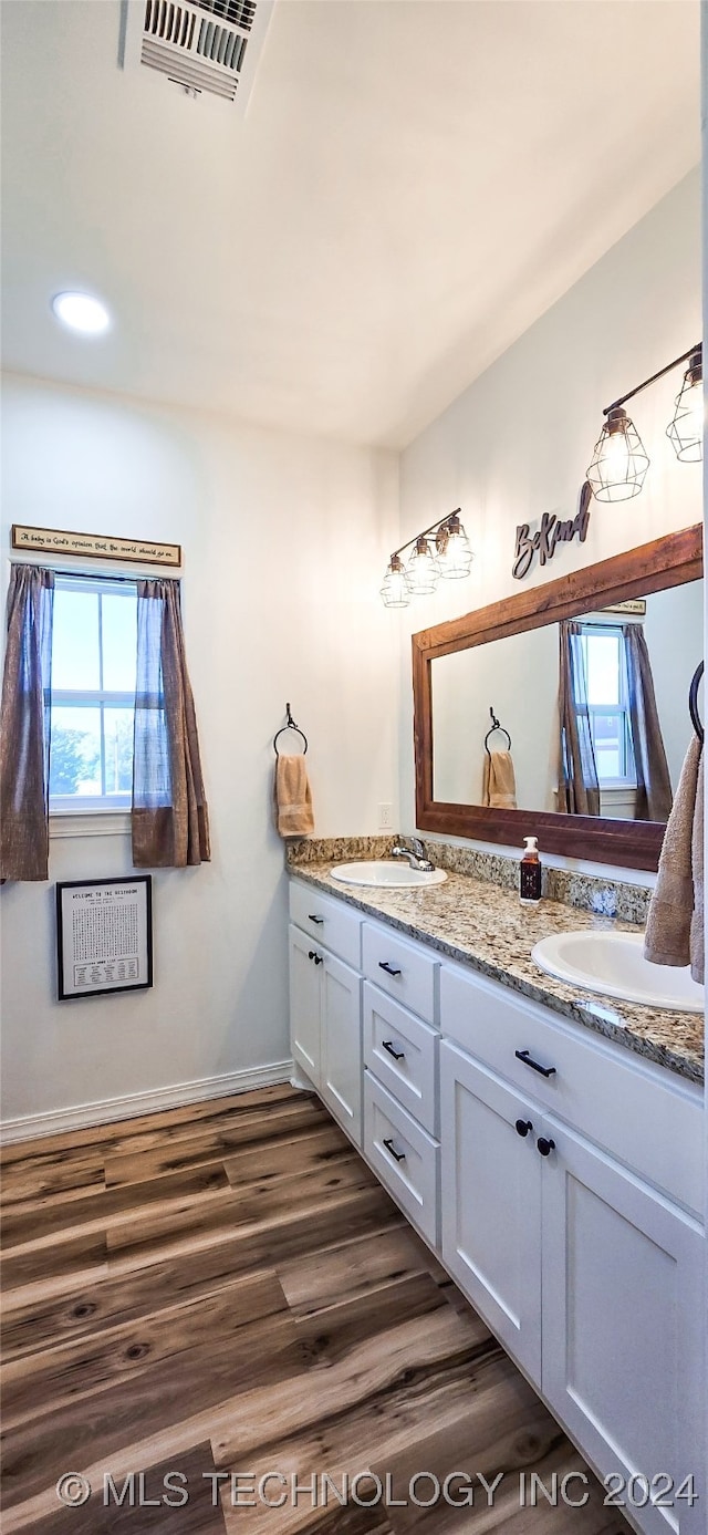 bathroom featuring wood-type flooring and vanity