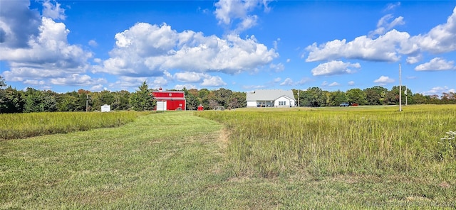 view of yard featuring a rural view