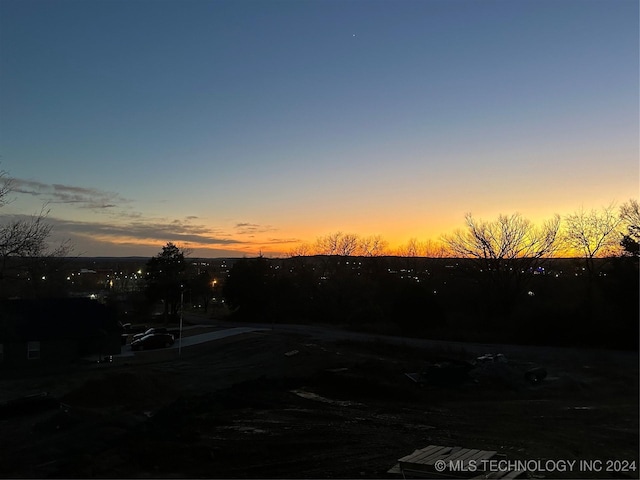 view of yard at dusk