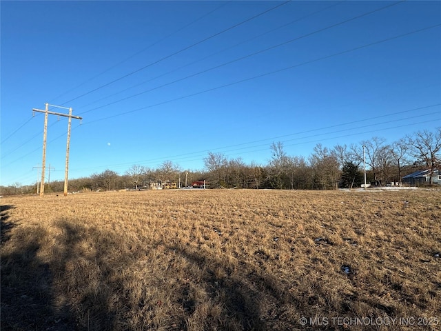 view of yard with a rural view