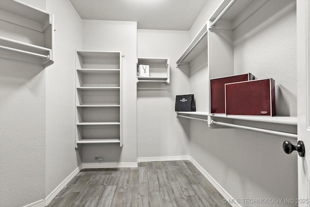 spacious closet with wood-type flooring