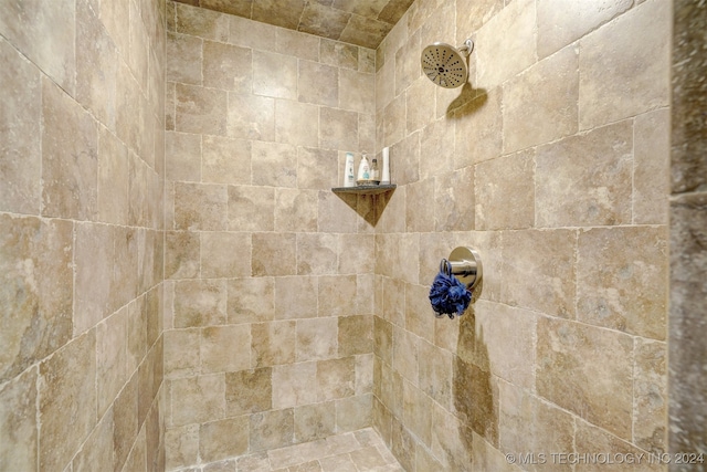 details featuring tiled shower