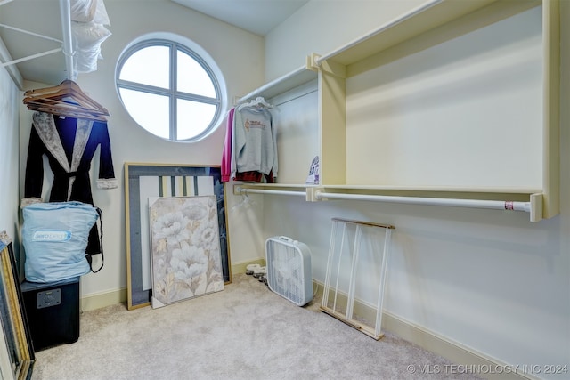 walk in closet featuring carpet floors