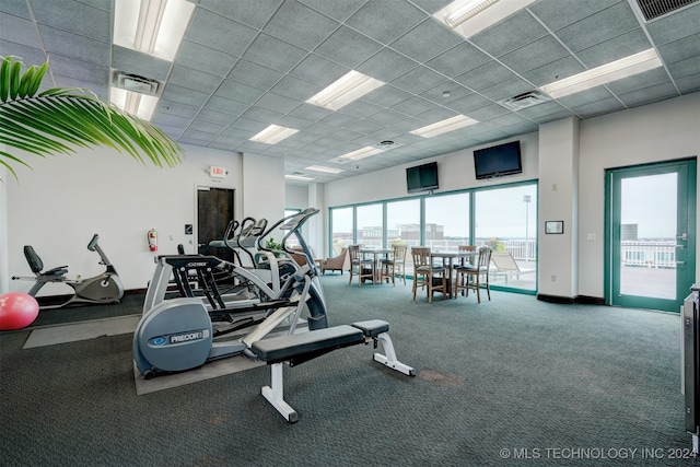 exercise room with carpet flooring and plenty of natural light