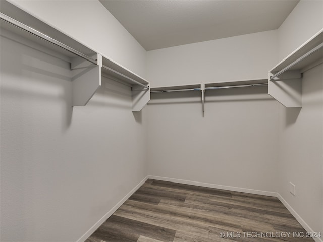 walk in closet featuring dark hardwood / wood-style flooring