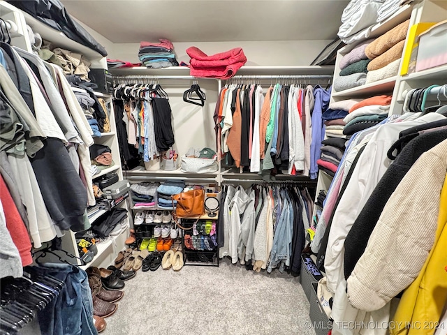 walk in closet featuring carpet floors