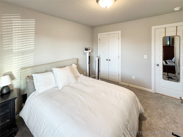 bedroom featuring a closet and carpet