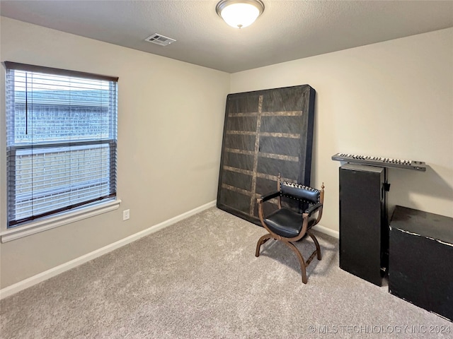 carpeted home office featuring a textured ceiling