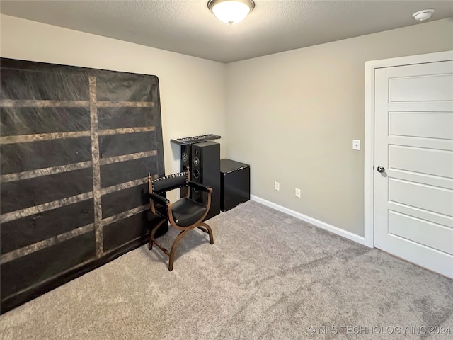 carpeted office with a textured ceiling