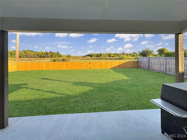 view of yard featuring a patio