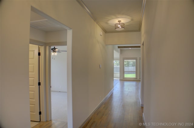 hallway featuring light hardwood / wood-style floors and ornamental molding