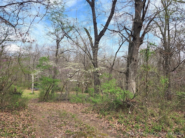 E Shade Tree Path, Claremore OK, 74017 land for sale