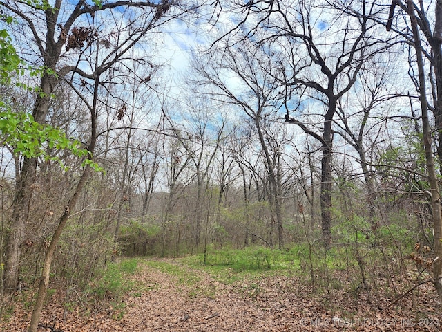 Listing photo 2 for E Shade Tree Path, Claremore OK 74017