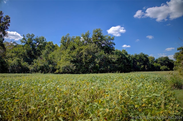 17440 E 165th St S, Bixby, OK 74008 - photo 7
