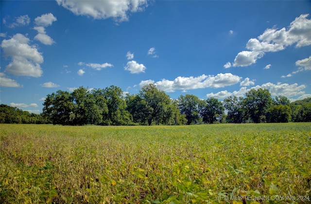 17440 E 165th St S, Bixby, OK 74008 - photo 8