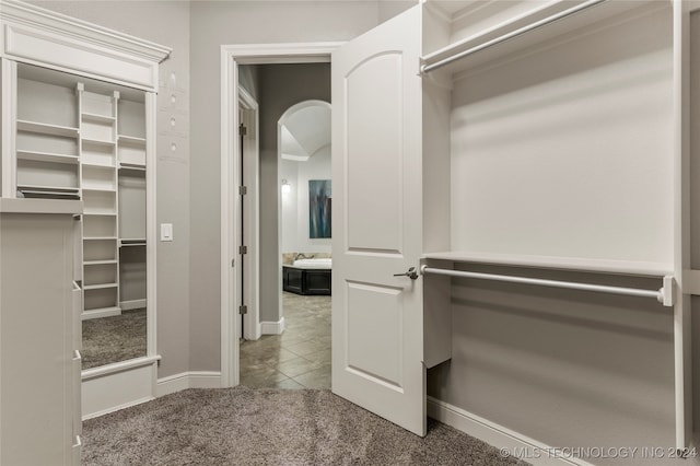 spacious closet with carpet flooring