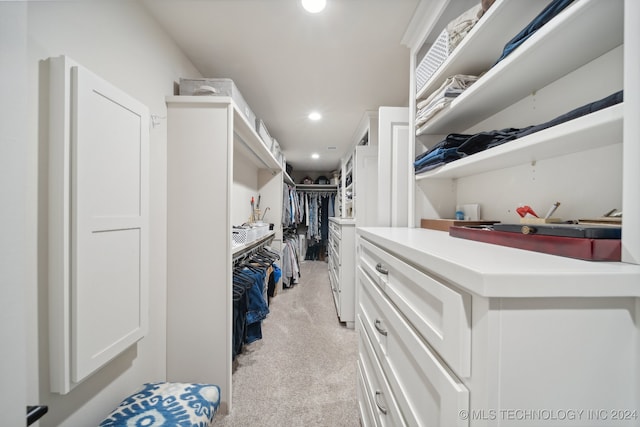 spacious closet with light carpet