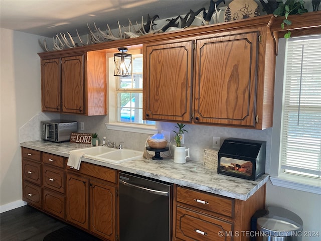 kitchen featuring dishwasher, sink, and dark hardwood / wood-style flooring