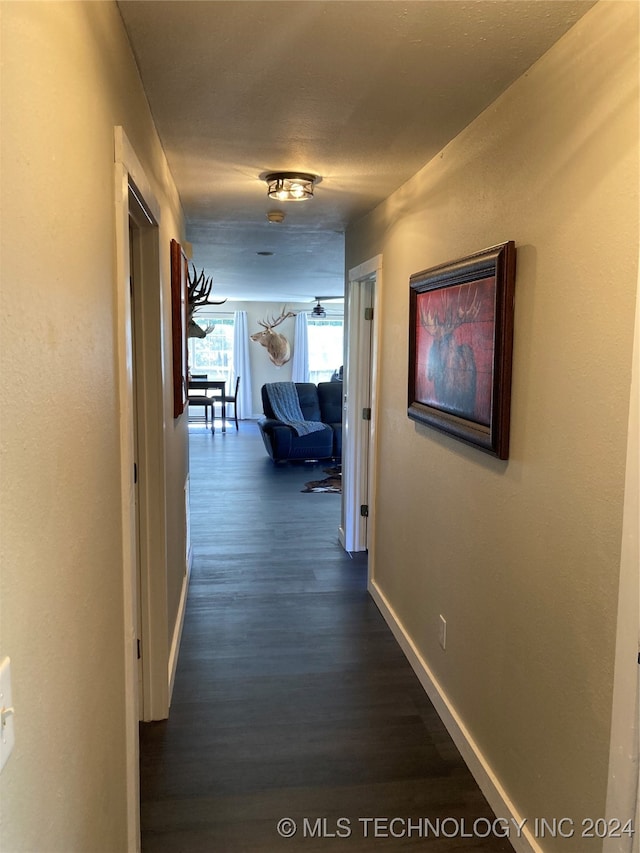 corridor featuring dark hardwood / wood-style flooring