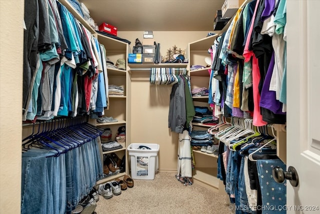 spacious closet featuring carpet floors