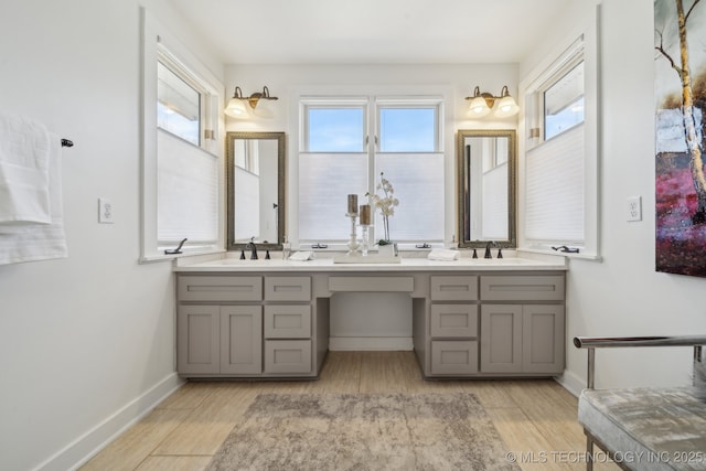 full bathroom with a sink, wood finished floors, and double vanity