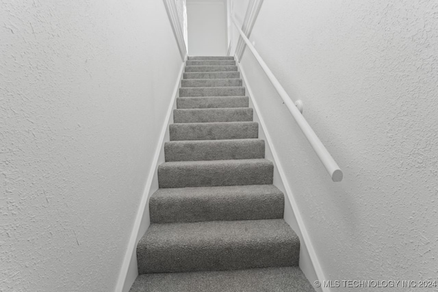 stairs with carpet flooring