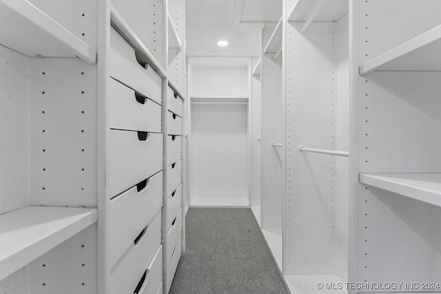 walk in closet featuring dark colored carpet