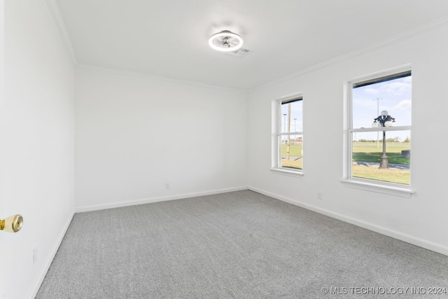 empty room with crown molding and carpet flooring