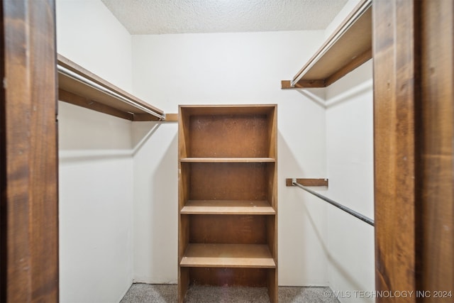 spacious closet featuring carpet flooring