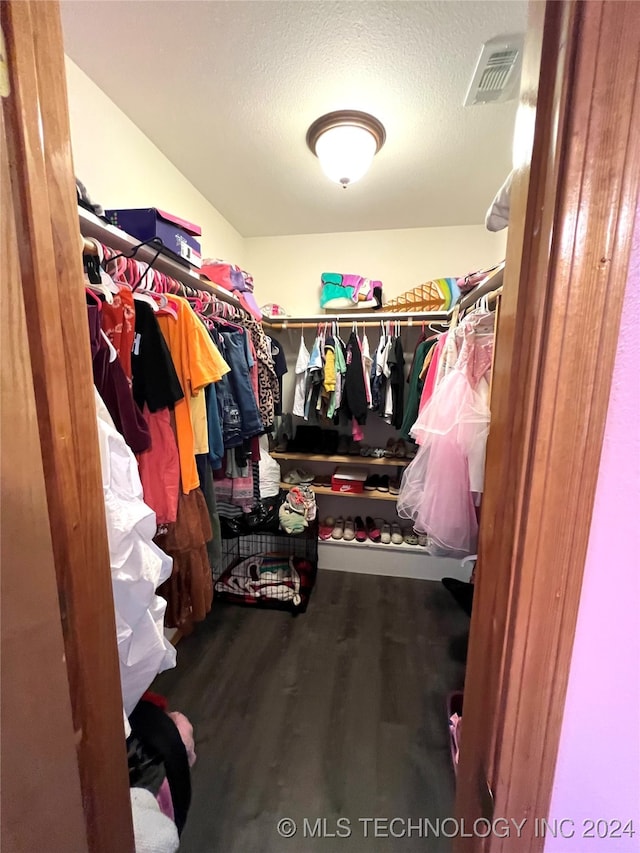 walk in closet with hardwood / wood-style flooring