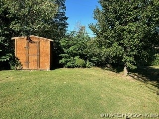 view of yard with a storage unit