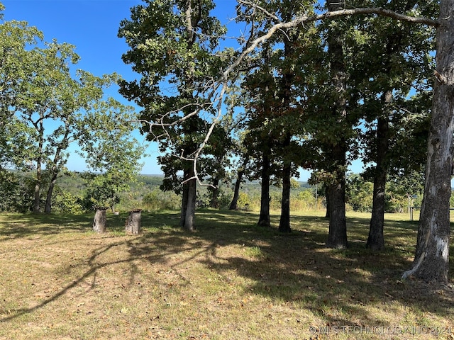 view of landscape