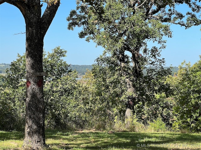 view of nature